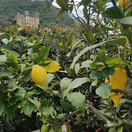 Bed & Breakfast Dei Doria & Dolceacqua