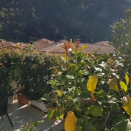 Dei Doria &
