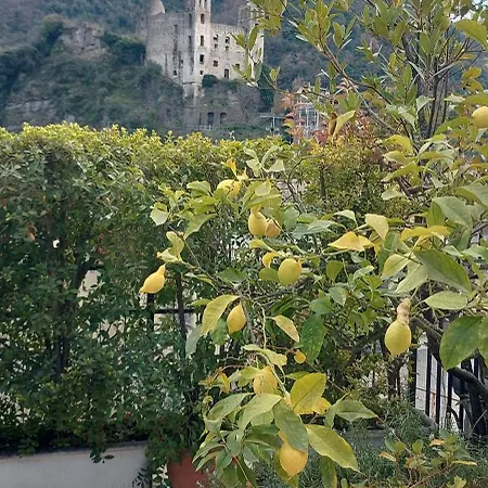 Dei Doria & Bed & Breakfast *