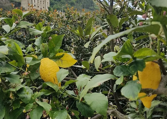 Bed and Breakfast Dei Doria & Dolceacqua