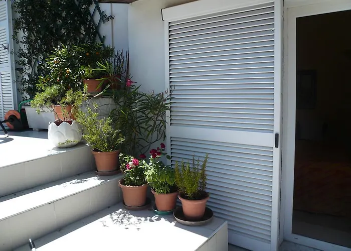 Dei Doria & دولشياكا